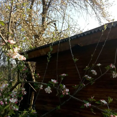 Бочевата Къща Affittacamere Apriltsi (Lovech)